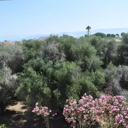 Pensionat Roys Blu 3*