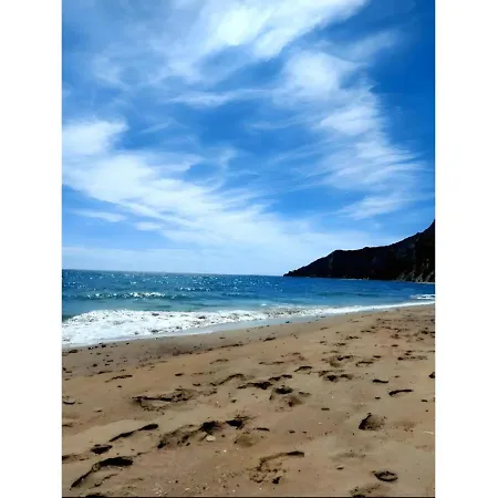 Roys Blu * Kavos