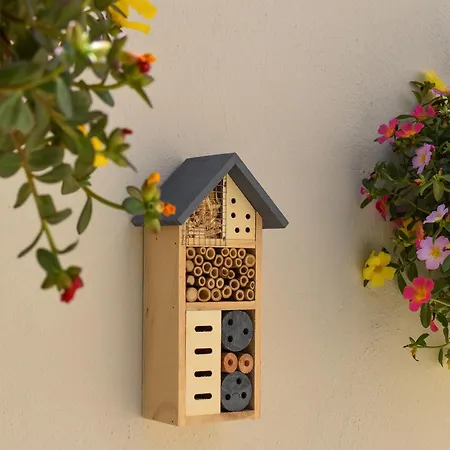 Roys Blu Guest house