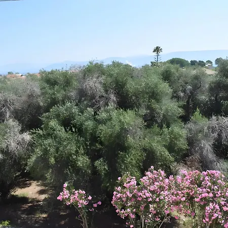 Roys Blu Kavos